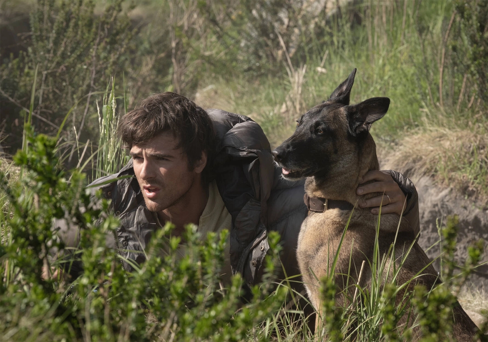 The Dog Stars – Le Stelle Dopo la Fine di Ridley Scott: al cinema dal 26 agosto
